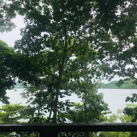 Discovery Island Resort-3